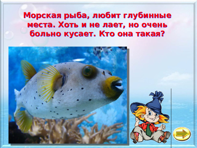 Морская рыба, любит глубинные места. Хоть и не лает, но очень больно кусает. Кто она такая? а Белая акула б Осётр в Рыба- собака 