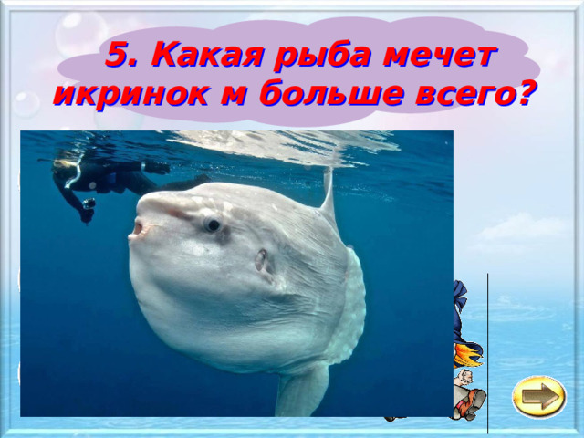 5. Какая рыба мечет икринок м больше всего? Морской окунь а Рыба-луна б Мурена в 