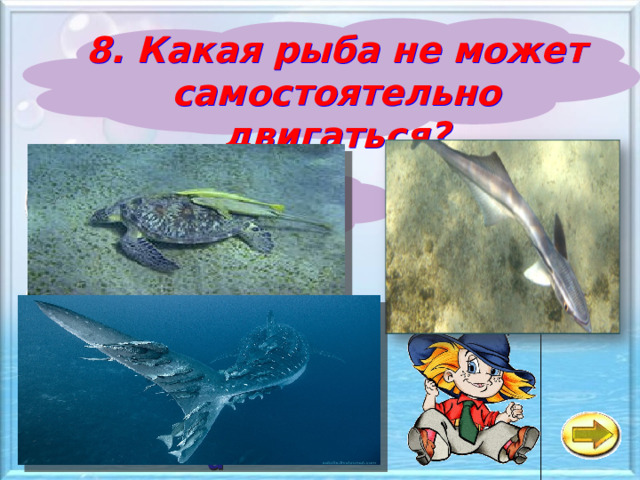 8. Какая рыба не может самостоятельно двигаться? а Рыба - камень б Рыба - игла в Рыба - прилипала 
