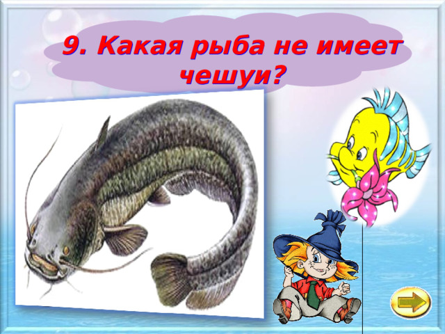 9. Какая рыба не имеет чешуи? a Сом б Карп в Акула 