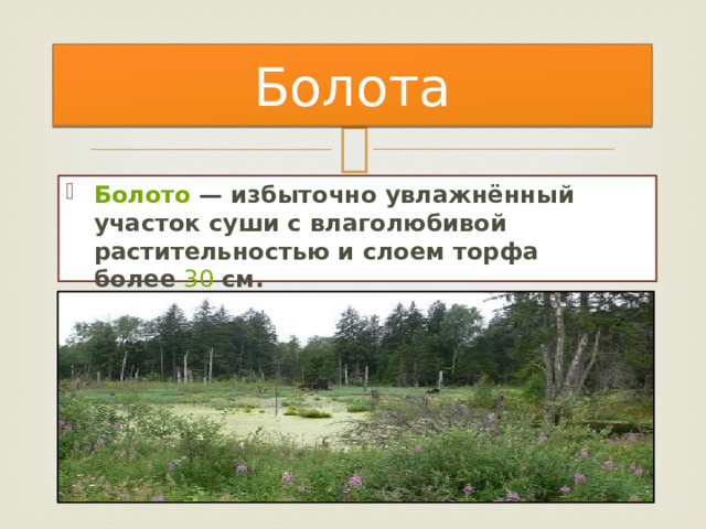 Болота Болото  — избыточно увлажнённый участок суши с влаголюбивой растительностью и слоем торфа более  30  см.  