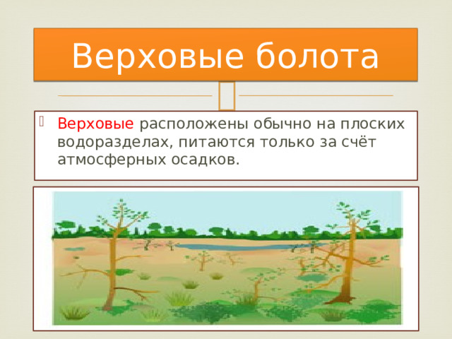 Верховые болота Верховые расположены обычно на плоских водоразделах, питаются только за счёт атмосферных осадков. 