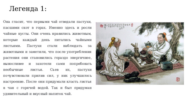 Легенда 1: Она гласит, что первыми чай отведали пастухи, пасшими скот в горах. Именно здесь и росли чайные кусты. Они очень нравились животным, которые каждый день питались чайными листьями. Пастухи стали наблюдать за животными и заметили, что после употребления растения они становились гораздо энергичнее, выносливее и захотели сами попробовать необычные листья. Съев их, пастухи почувствовали прилив сил, у них улучшилось настроение. После они придумали класть листья в чан с горячей водой. Так и был придуман удивительный и вкусный напиток чай. 