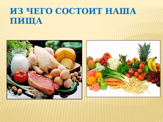 Из чего состоит наша пища 