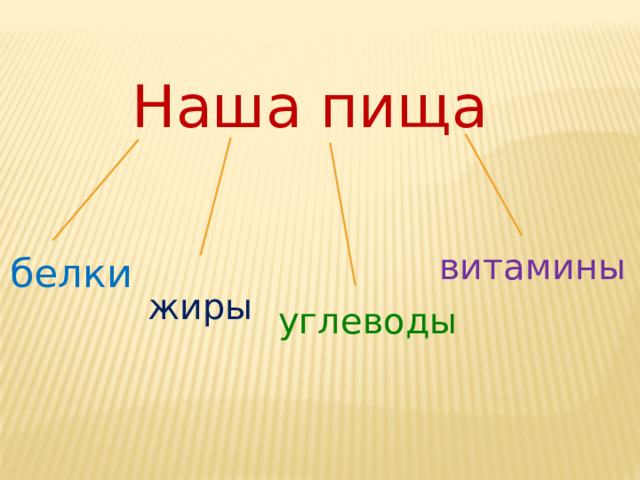 Наша пища витамины белки жиры углеводы 