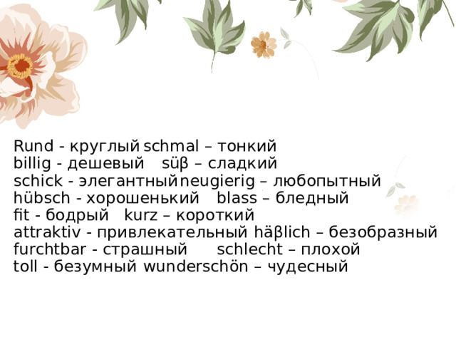    Rund - круглый     schmal – тонкий  billig - дешевый     süβ – сладкий  schick - элегантный    neugierig – любопытный  hübsch - хорошенький    blass – бледный  fit - бодрый      kurz – короткий  attraktiv - привлекательный  häβlich – безобразный  furchtbar - страшный    schlecht – плохой  toll - безумный     wunderschön – чудесный    