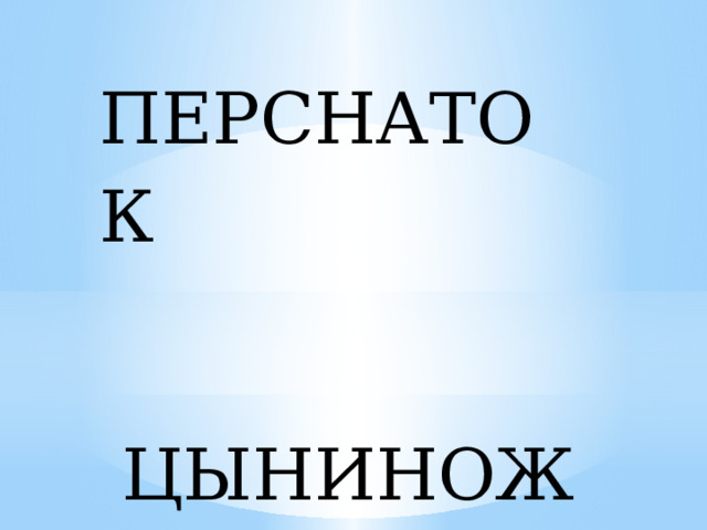 ПЕРСНАТОК  ЦЫНИНОЖ 