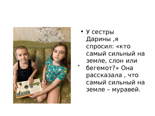 У сестры Дарины ,я спросил: «кто самый сильный на земле, слон или бегемот?» Она рассказала , что самый сильный на земле – муравей. . 