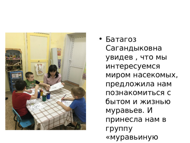 Батагоз Сагандыковна увидев , что мы интересуемся миром насекомых, предложила нам познакомиться с бытом и жизнью муравьев. И принесла нам в группу «муравьиную ферму». 