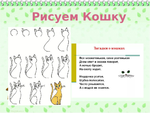 Рисуем Кошку 
