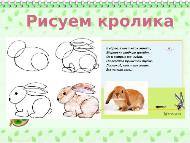 Рисуем кролика 