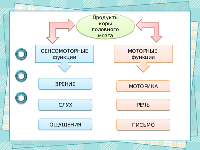 Продукты коры головного мозга СЕНСОМОТОРНЫЕ функции МОТОРНЫЕ функции ЗРЕНИЕ МОТОРИКА СЛУХ РЕЧЬ ОЩУЩЕНИЯ ПИСЬМО 