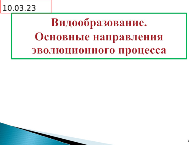 10.03.23  