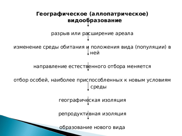 Географическое (аллопатрическое) видообразование  разрыв или расширение ареала изменение среды обитания и положения вида (популяции) в ней направление естественного отбора меняется отбор особей, наиболее приспособленных к новым условиям  среды географическая изоляция репродуктивная изоляция образование нового вида 