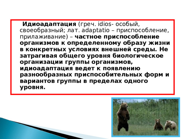  Идиоадаптация (греч. idios - особый, своеобразный; лат. adaptatio – приспособление, прилаживание) – частное приспособление организмов к определенному образу жизни в конкретных условиях внешней среды. Не затрагивая общего уровня биологическое организации группы организмов, идиоадаптация ведет к появлению разнообразных приспособительных форм и вариантов группы в пределах одного уровня. 