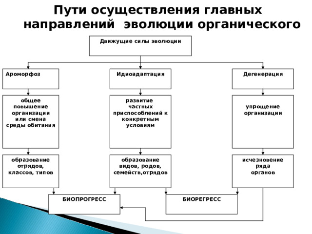 Пути осуществления главных направлений эволюции органического мира Движущие силы эволюции Идиоадаптация Ароморфоз Дегенерация  упрощение организации развитие частных приспособлений к конкретным условиям общее повышение организации или смена среды обитания исчезновение ряда органов образование отрядов, классов, типов образование видов, родов, семейств,отрядов БИОПРОГРЕСС БИОРЕГРЕСС 