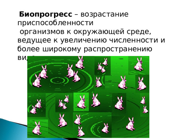  Биопрогресс – возрастание приспособленности организмов к окружающей среде, ведущее к увеличению численности и более широкому распространению вида. 