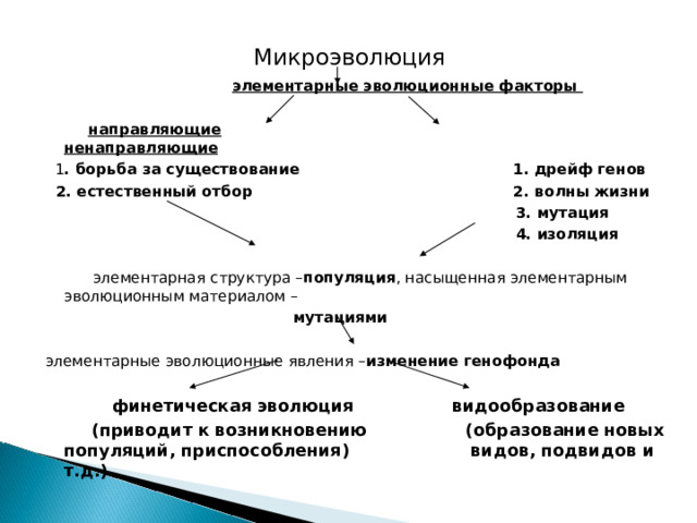  Микроэволюция  элементарные эволюционные факторы  направляющие  ненаправляющие  1 . борьба за существование 1. дрейф генов  2. естественный отбор 2. волны жизни  3. мутация  4. изоляция  элементарная структура – популяция , насыщенная элементарным эволюционным материалом –  мутациями  элементарные эволюционные явления – изменение генофонда   финетическая эволюция видообразование  (приводит к возникновению (образование новых популяций, приспособления) видов, подвидов и т.д.)   