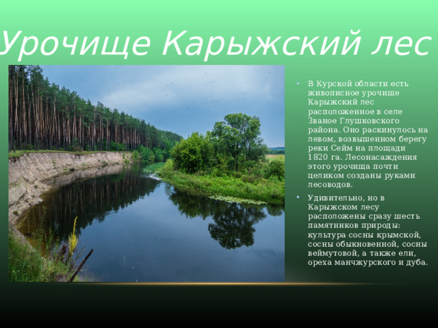 Урочище Карыжский лес В Курской области есть живописное урочище Карыжский лес расположенное в селе Званое Глушковского района. Оно раскинулось на левом, возвышенном берегу реки Сейм на площади 1820 га. Лесонасаждения этого урочища почти целиком созданы руками лесоводов. Удивительно, но в Карыжском лесу расположены сразу шесть памятников природы: культура сосны крымской, сосны обыкновенной, сосны веймутовой, а также ели, ореха манчжурского и дуба . 