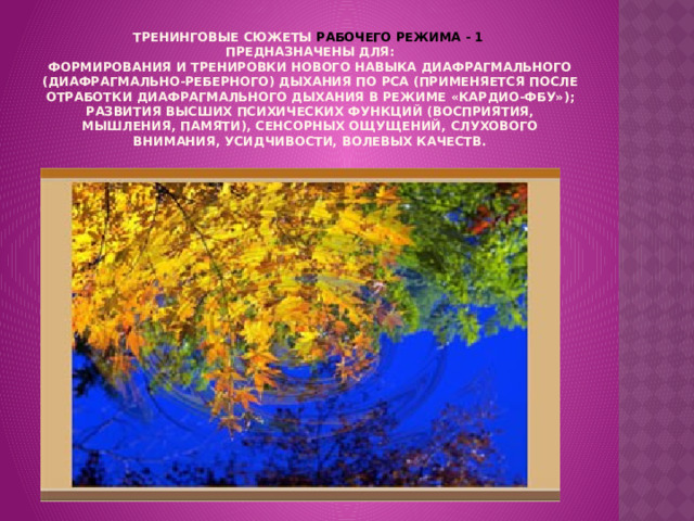  Тренинговые сюжеты РАБОЧЕГО РЕЖИМА - 1  предназначены для:  формирования и тренировки нового навыка диафрагмального (диафрагмально-реберного) дыхания по РСА (применяется после отработки диафрагмального дыхания в режиме «Кардио-ФБУ»);  развития высших психических функций (восприятия, мышления, памяти), сенсорных ощущений, слухового внимания, усидчивости, волевых качеств.   