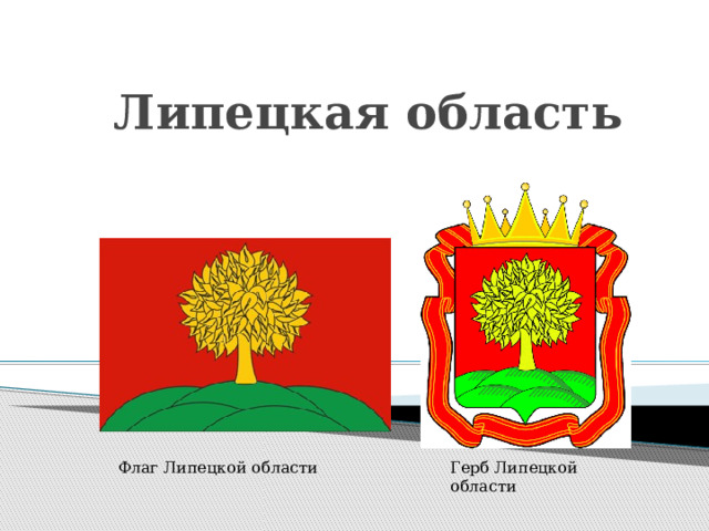 Липецкая область Флаг Липецкой области Герб Липецкой области 