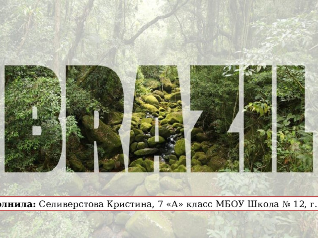 Выполнила: Селиверстова Кристина, 7 «А» класс МБОУ Школа № 12, г.Саров 