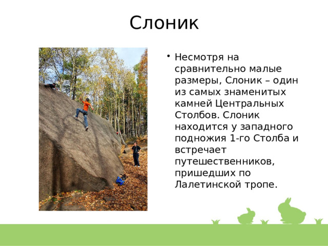 Слоник Несмотря на сравнительно малые размеры, Слоник – один из самых знаменитых камней Центральных Столбов. Слоник находится у западного подножия 1-го Столба и встречает путешественников, пришедших по Лалетинской тропе. 