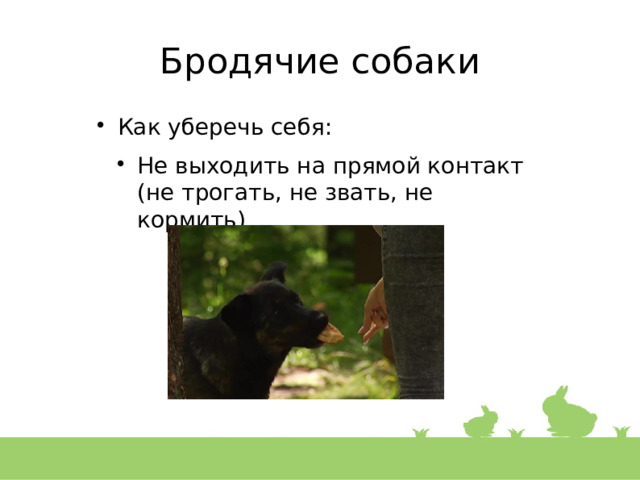 Бродячие собаки Как уберечь себя: Не выходить на прямой контакт (не трогать, не звать, не кормить) 