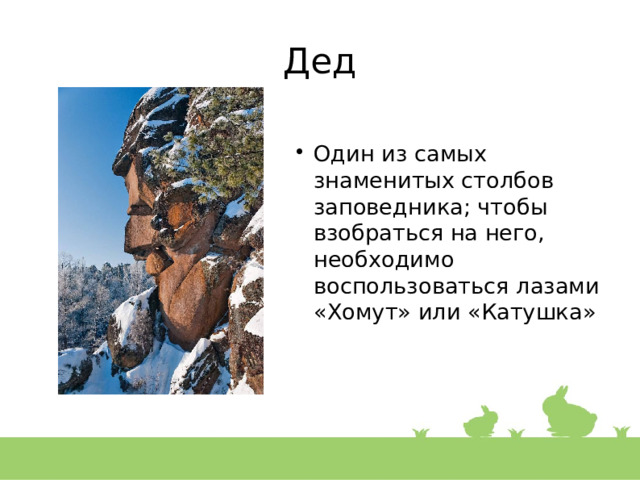 Дед Один из самых знаменитых столбов заповедника; чтобы взобраться на него, необходимо воспользоваться лазами «Хомут» или «Катушка» 