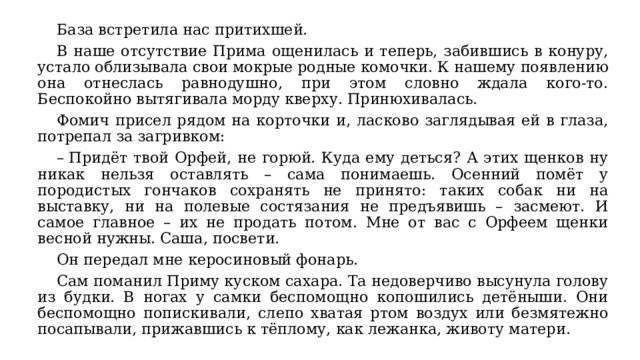  База встретила нас притихшей.  В наше отсутствие Прима ощенилась и теперь, забившись в конуру, устало облизывала свои мокрые родные комочки. К нашему появлению она отнеслась равнодушно, при этом словно ждала кого-то. Беспокойно вытягивала морду кверху. Принюхивалась.  Фомич присел рядом на корточки и, ласково заглядывая ей в глаза, потрепал за загривком:  –  Придёт твой Орфей, не горюй. Куда ему деться? А этих щенков ну никак нельзя оставлять – сама понимаешь. Осенний помёт у породистых гончаков сохранять не принято: таких собак ни на выставку, ни на полевые состязания не предъявишь – засмеют. И самое главное – их не продать потом. Мне от вас с Орфеем щенки весной нужны. Саша, посвети.  Он передал мне керосиновый фонарь.  Сам поманил Приму куском сахара. Та недоверчиво высунула голову из будки. В ногах у самки беспомощно копошились детёныши. Они беспомощно попискивали, слепо хватая ртом воздух или безмятежно посапывали, прижавшись к тёплому, как лежанка, животу матери. 