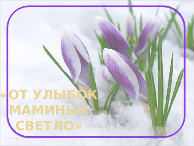 «От улыбок маминых светло» 