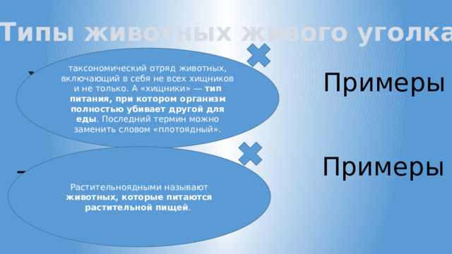 Типы животных живого уголка таксономический отряд животных, включающий в себя не всех хищников и не только. А «хищники» ― тип питания, при котором организм полностью убивает другой для еды . Последний термин можно заменить словом «плотоядный». Хищники Примеры Растительноядными называют животных, которые питаются растительной пищей . Примеры Травоядные 