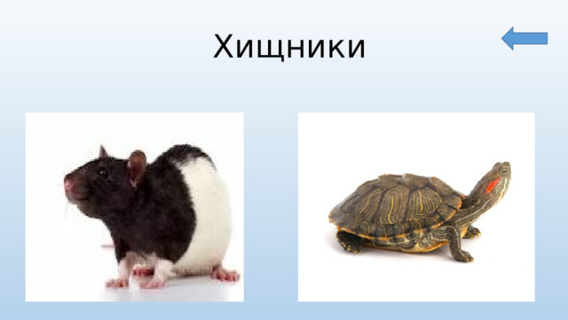 Хищники 