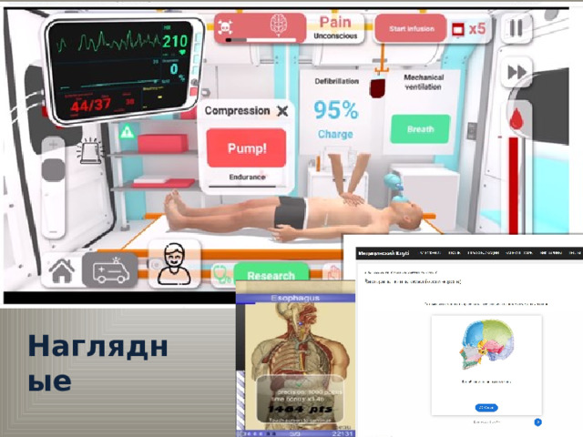 Наглядные  
