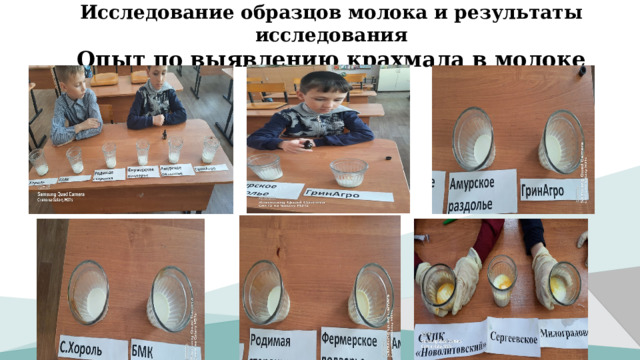   Исследование образцов молока и результаты исследования  Опыт по выявлению крахмала в молоке    