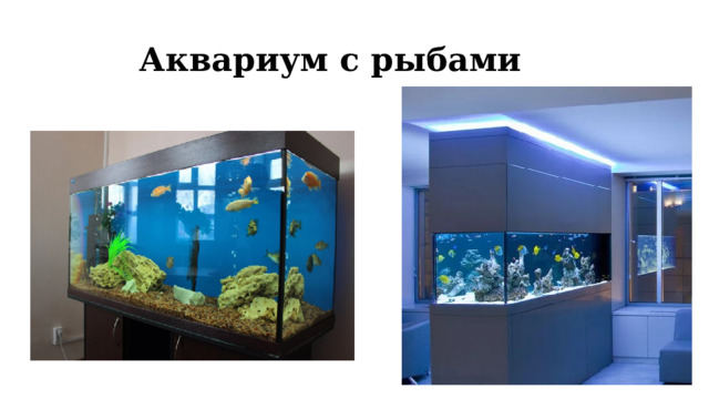 Аквариум с рыбами 