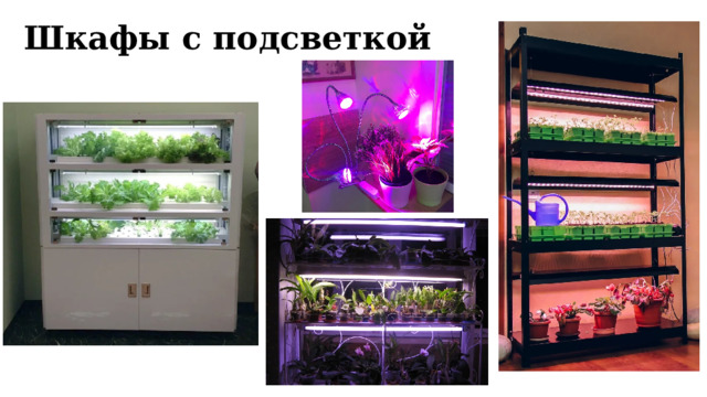 Шкафы с подсветкой 