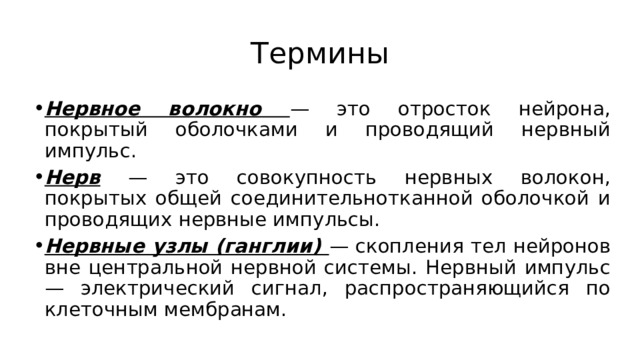 Термины Нервное волокно — это отросток нейрона, покрытый оболочками и проводящий нервный импульс. Нерв — это совокупность нервных волокон, покрытых общей соединительнотканной оболочкой и проводящих нервные импульсы. Нервные узлы (ганглии) — скопления тел нейронов вне центральной нервной системы. Нервный импульс — электрический сигнал, распространяющийся по клеточным мембранам. 