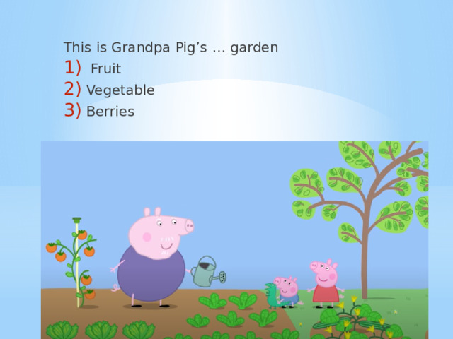 This is Grandpa Pig’s … garden  Fruit Vegetable Berries 