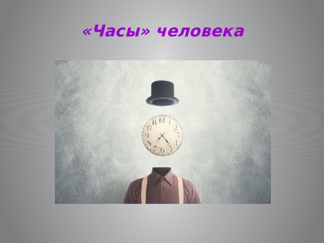 «Часы» человека 