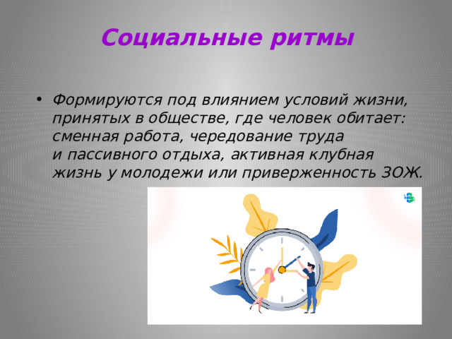 Социальные ритмы Формируются под влиянием условий жизни, принятых в обществе, где человек обитает: сменная работа, чередование труда и пассивного отдыха, активная клубная жизнь у молодежи или приверженность ЗОЖ. 