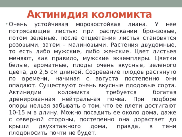 Актинидия коломикта Очень устойчивая морозостойкая лиана. У нее потрясающие листья: при распускании бронзовые, потом зеленые, после отцветания листья становятся розовыми, затем – малиновыми. Растения двудомные, то есть либо мужские, либо женские. Цвет листьев меняют, как правило, мужские экземпляры. Цветки белые, ароматные, плоды очень вкусные, зеленого цвета, до 2,5 см длиной. Созревание плодов растянуто по времени, начиная с августа постепенно они опадают. Существуют очень вкусные плодовые сорта. Актинидии коломикта требуется богатая дренированная нейтральная почва. При подборе опоры нельзя забывать о том, что ее плети достигают 10-15 м в длину. Можно посадить ее около дома, даже с северной стороны, постепенно она дорастает до крыши двухэтажного дома, правда, в тени плодоносить почти не будет. 