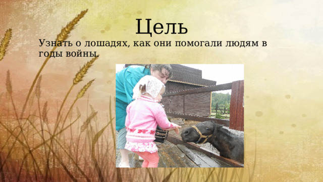 Цель Узнать о лошадях, как они помогали людям в годы войны. 