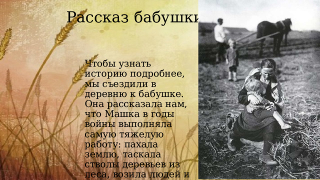 Рассказ бабушки Чтобы узнать историю подробнее, мы съездили в деревню к бабушке. Она рассказала нам, что Машка в годы войны выполняла самую тяжелую работу: пахала землю, таскала стволы деревьев из леса, возила людей и разные грузы. Несомненно, Машка спасла нашу семью. 