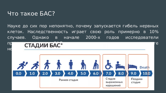 Что такое БАС? Науке до сих пор непонятно, почему запускается гибель нервных клеток. Наследственность играет свою роль примерно в 10% случаев. Однако в начале 2000-х годов исследователи предположили, что БАС связан с накоплением в головном мозге нейромедиаторных молекул. 