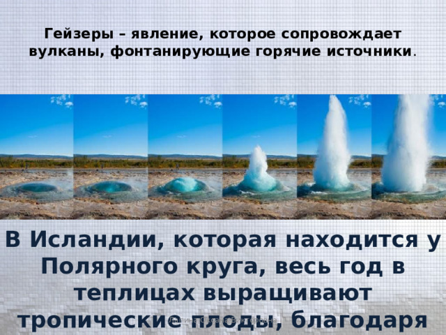Гейзеры – явление, которое сопровождает вулканы, фонтанирующие горячие источники . В Исландии, которая находится у Полярного круга, весь год в теплицах выращивают тропические плоды, благодаря использованию геотермальных вод . Лапина Оксана Викторовна 