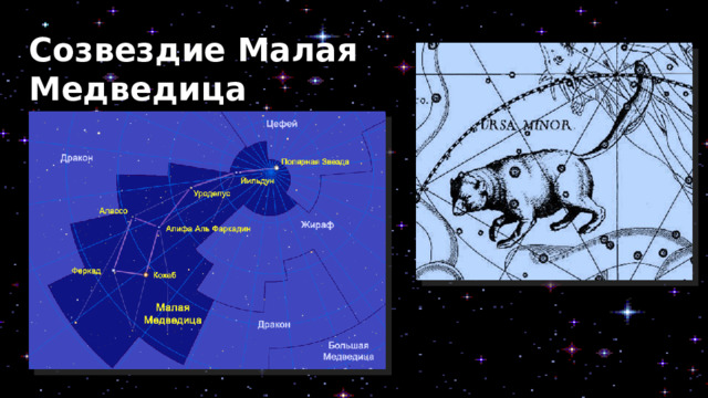 Созвездие Малая Медведица  