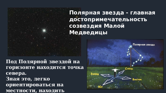 Полярная звезда - главная достопримечательность созвездия Малой Медведицы Под Полярной звездой на горизонте находится точка севера. Зная это, легко ориентироваться на местнос­ти, находить страны света (север, юг, восток, запад). 