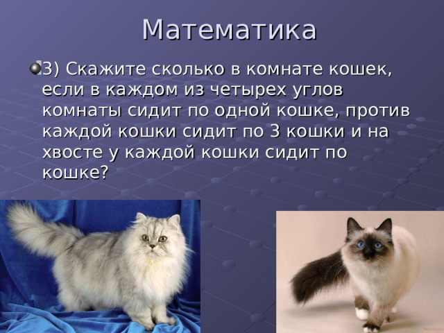 Математика 3) Скажите сколько в комнате кошек, если в каждом из четырех углов комнаты сидит по одной кошке, против каждой кошки сидит по 3 кошки и на хвосте у каждой кошки сидит по кошке? 