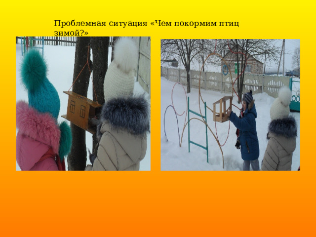  Проблемная ситуация «Чем покормим птиц зимой?» 